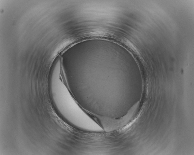 X0000088470930200706121525