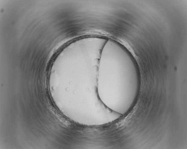 X0000088470931200706121526