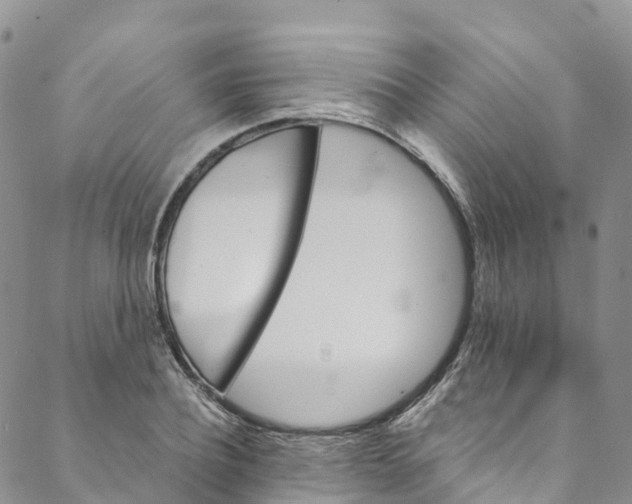 X0000088470932200706121526