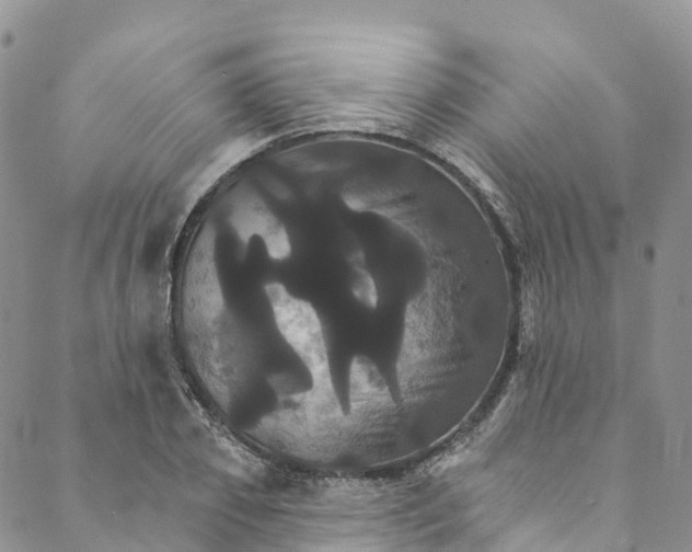 X0000088470933200706121526