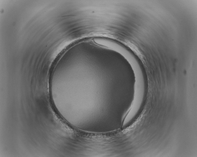 X0000088470934200706121526