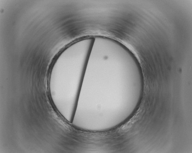 X0000088470935200706121526