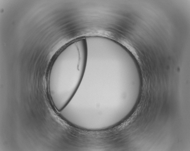 X0000088470936200706121526