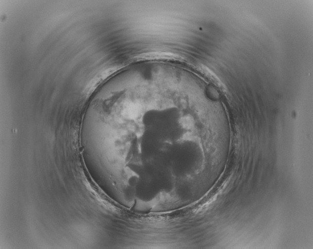 X0000088470937200706121526