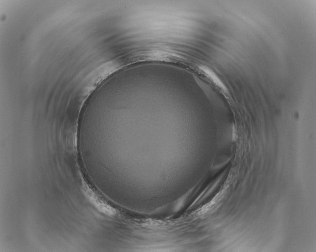 X0000088470938200706121526