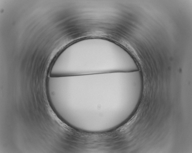 X0000088470939200706121526