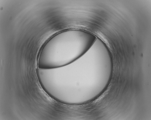 X0000088470940200706121526