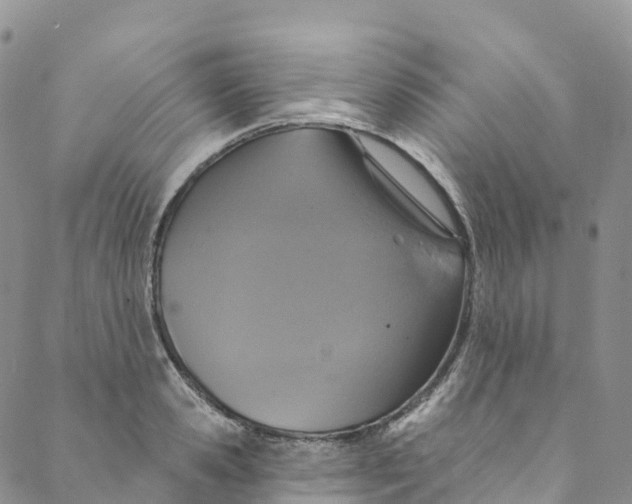 X0000088470941200706121526