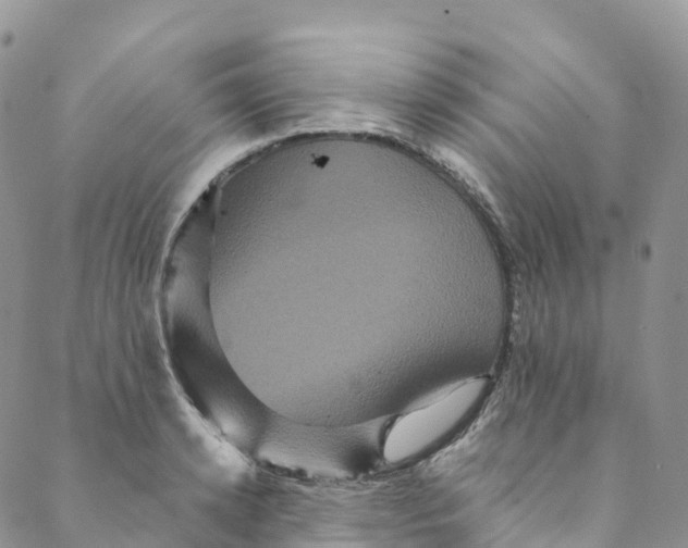 X0000088470942200706121526