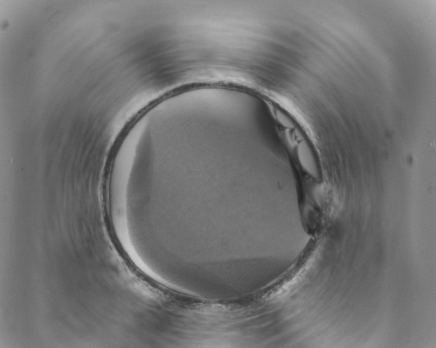 X0000088470943200706121526