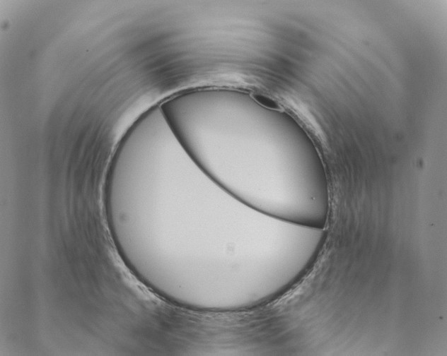 X0000088470944200706121526