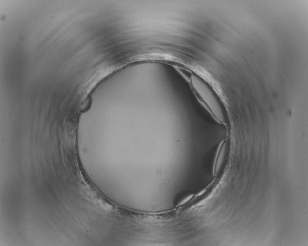 X0000088470945200706121526