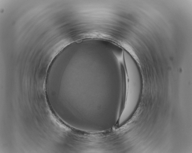 X0000088470946200706121526