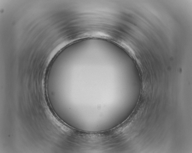 X0000088470947200706121526