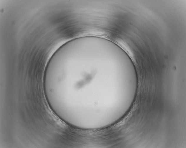 X0000088470948200706121526