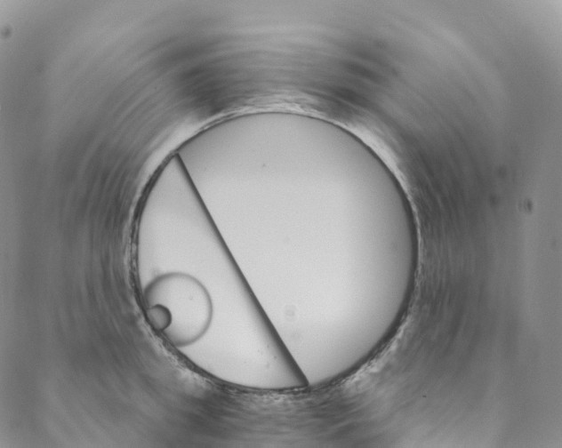 X0000088470949200706121526