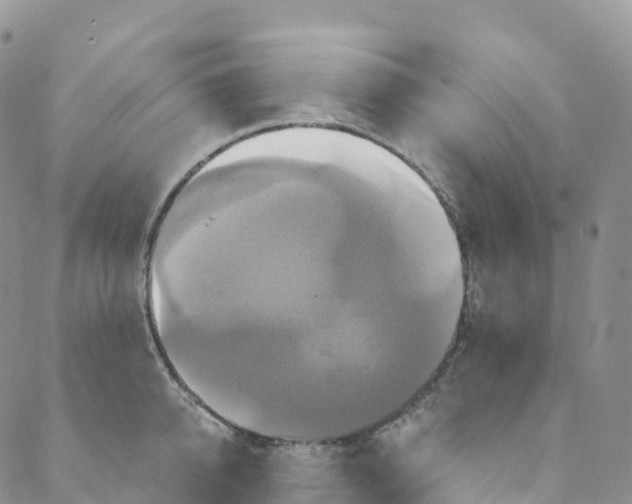 X0000088470950200706121526