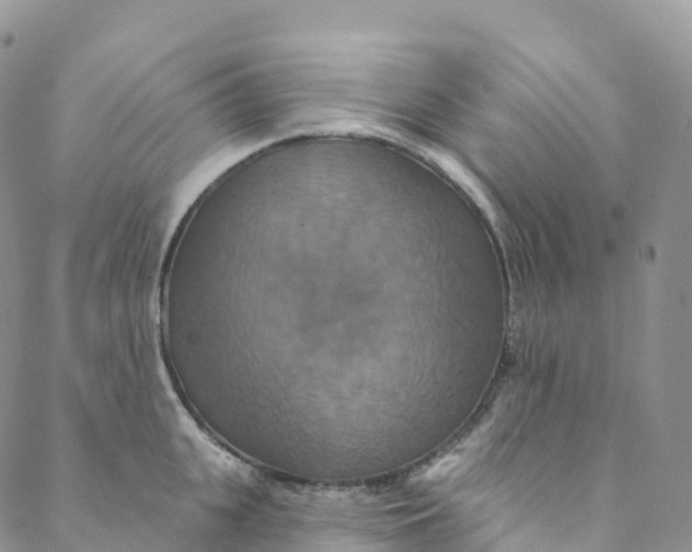 X0000088470951200706121526