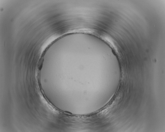 X0000088470952200706121526