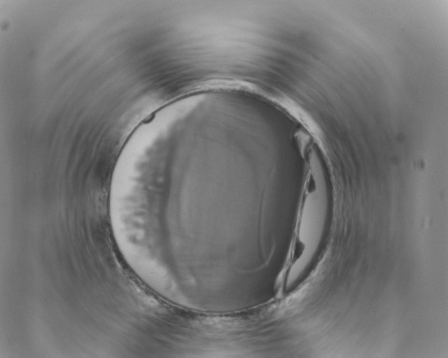 X0000088470953200706121526