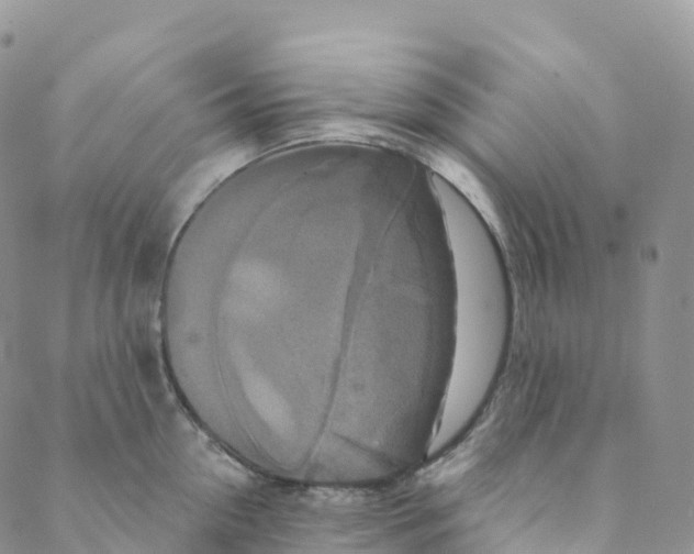 X0000088470954200706121526