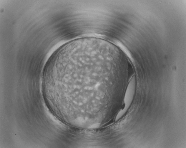 X0000088470955200706121526