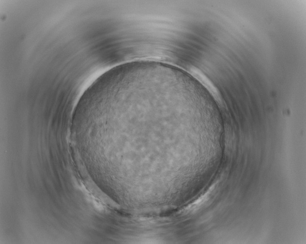 X0000088470956200706121526