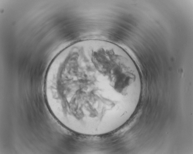 X0000088470957200706121526