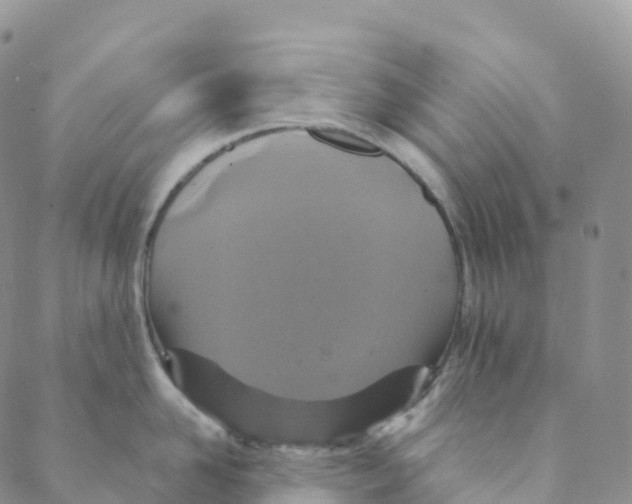 X0000088470958200706121526