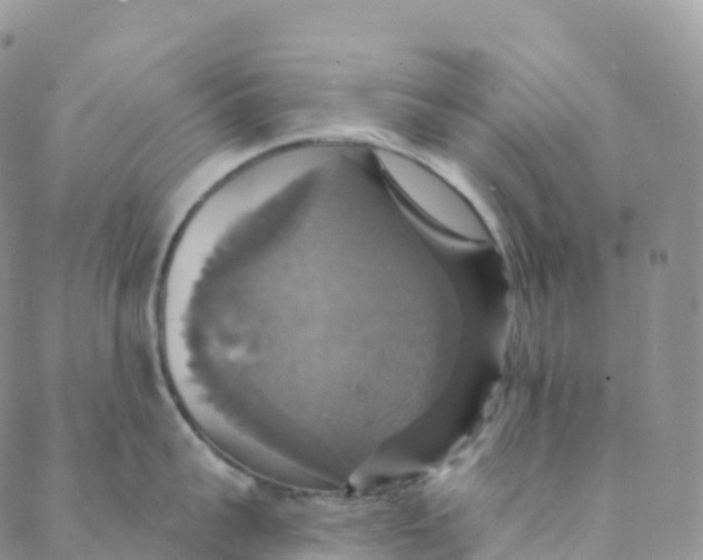 X0000088470959200706121526