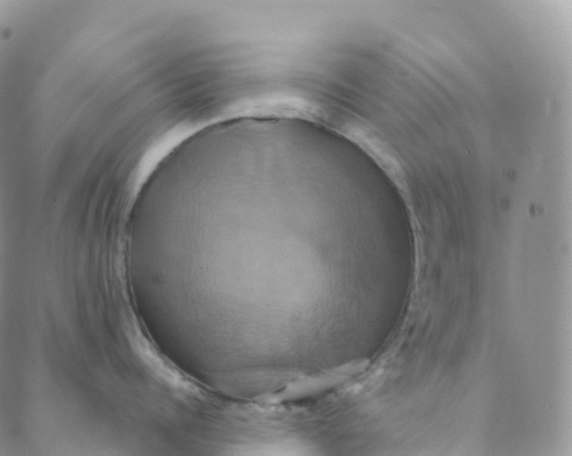 X0000088470960200706121526