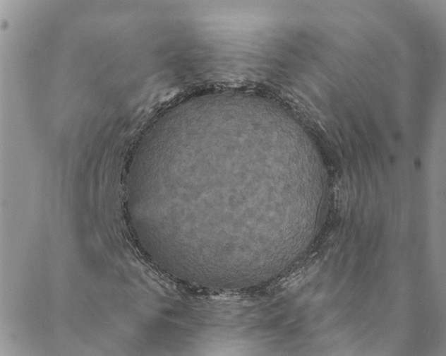 X0000088470961200706121525