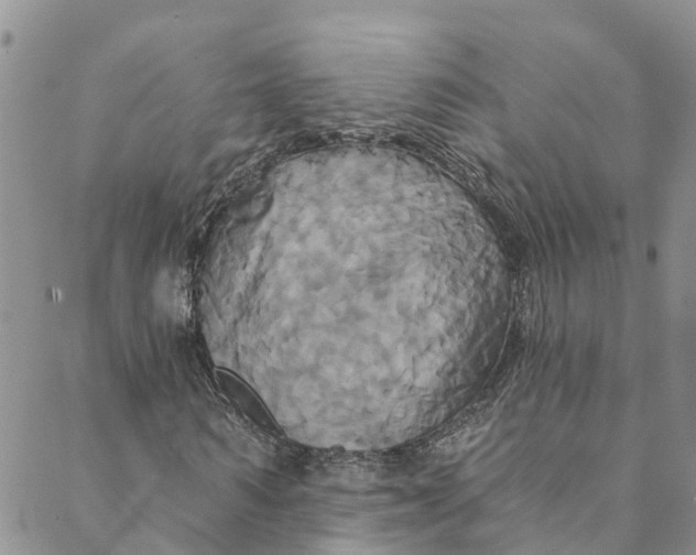 X0000088470962200706121525