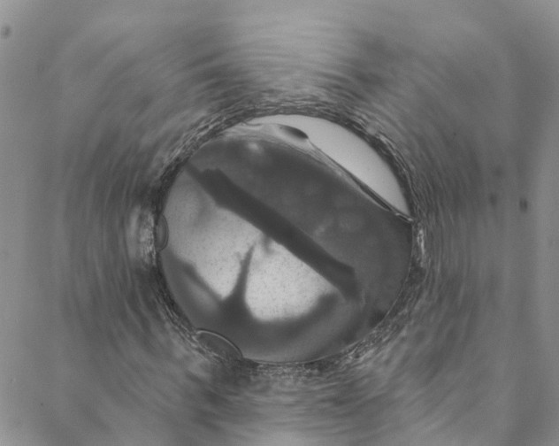 X0000088470963200706121525