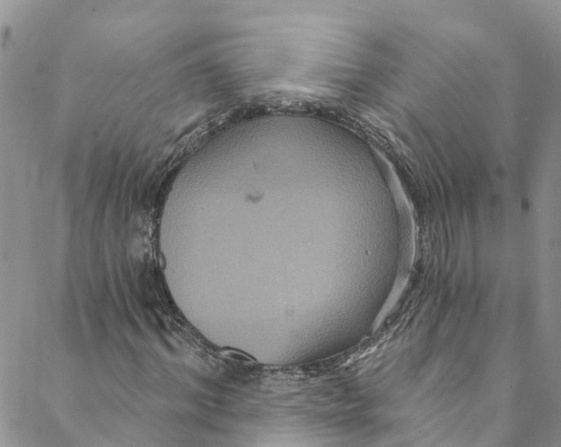 X0000088470964200706121525