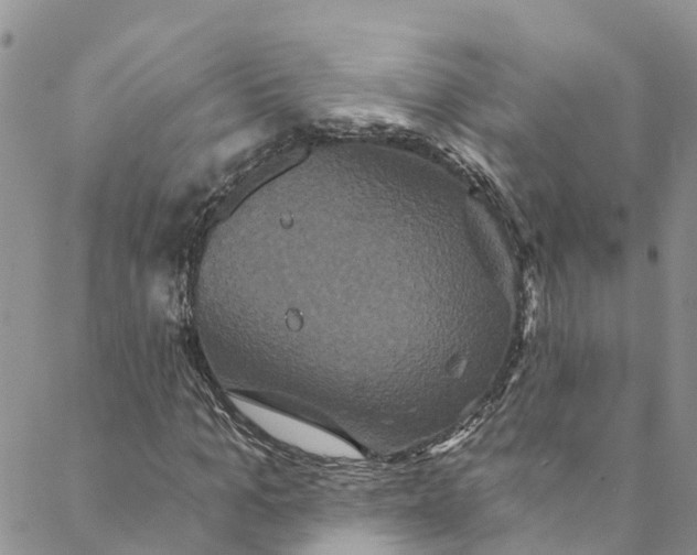 X0000088470965200706121525