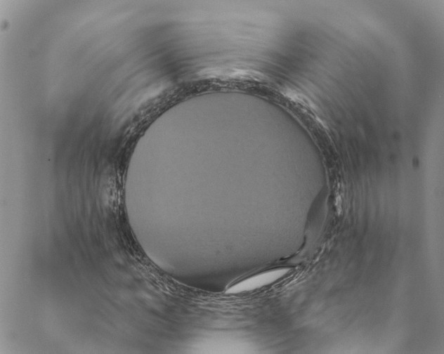 X0000088470966200706121525