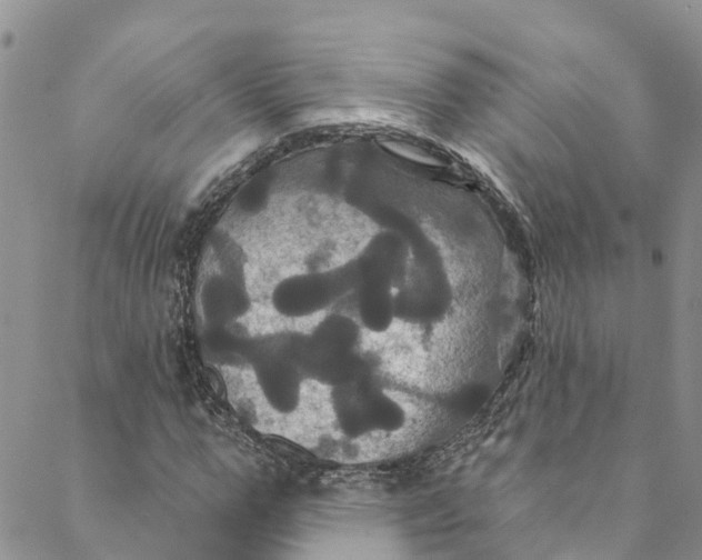 X0000088470967200706121525