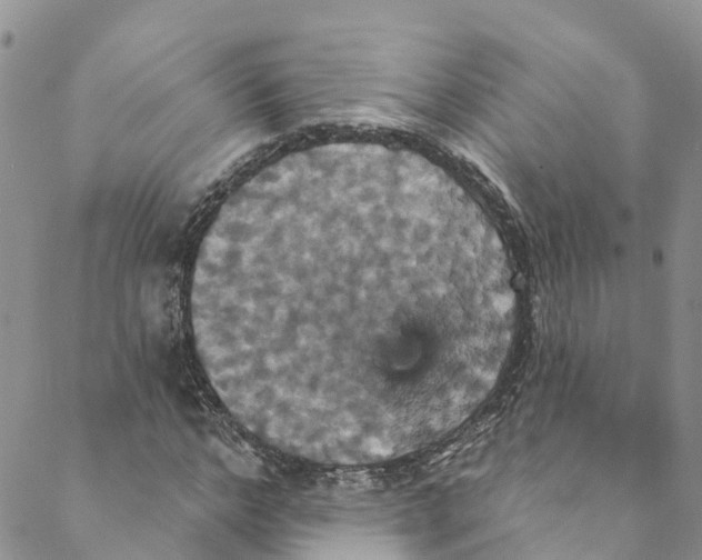 X0000088470968200706121525