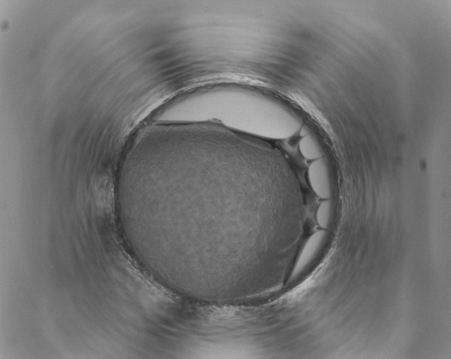 X0000088470969200706121525