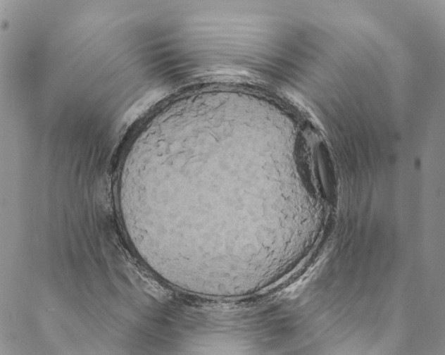 X0000088470970200706121525