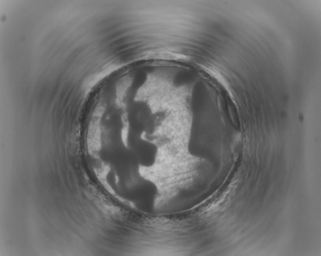 X0000088470971200706121525