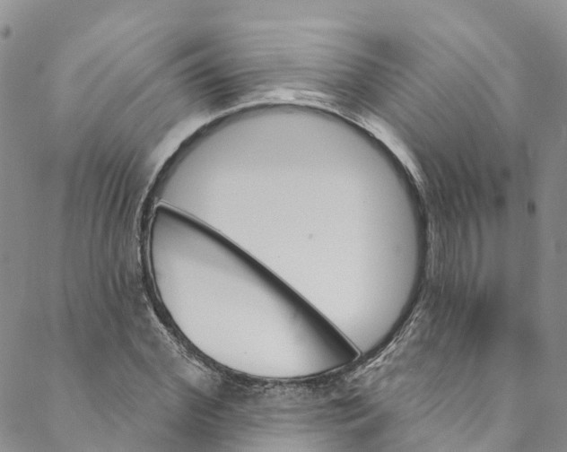 X0000088470972200706121525