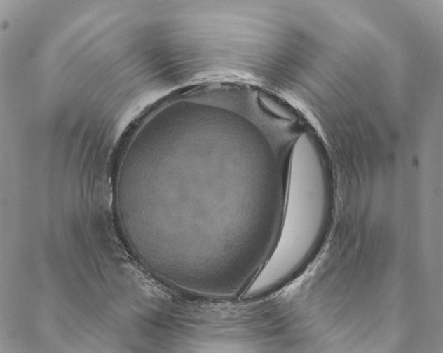 X0000088470973200706121525