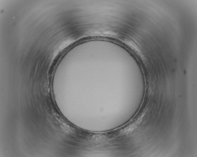 X0000088470974200706121525