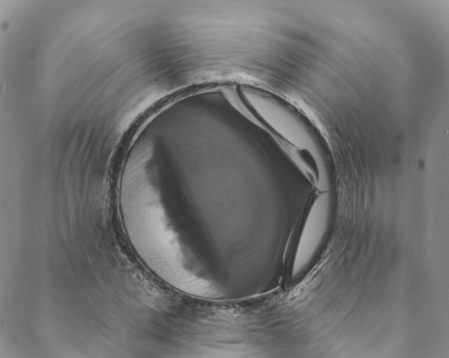 X0000088470975200706121525