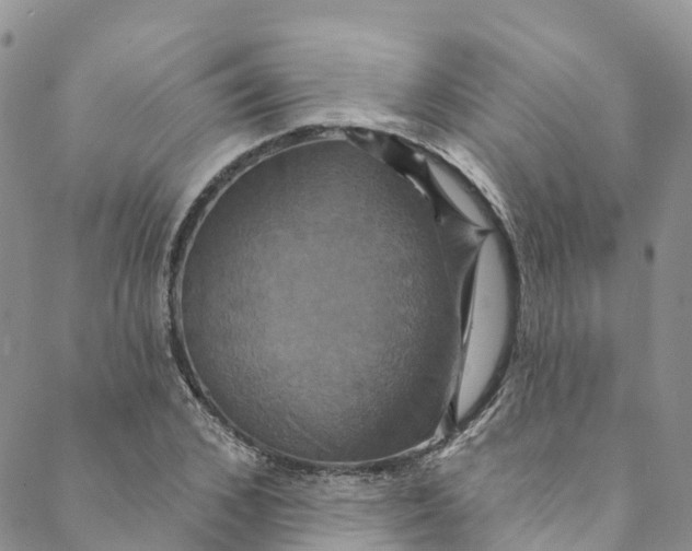 X0000088470976200706121525