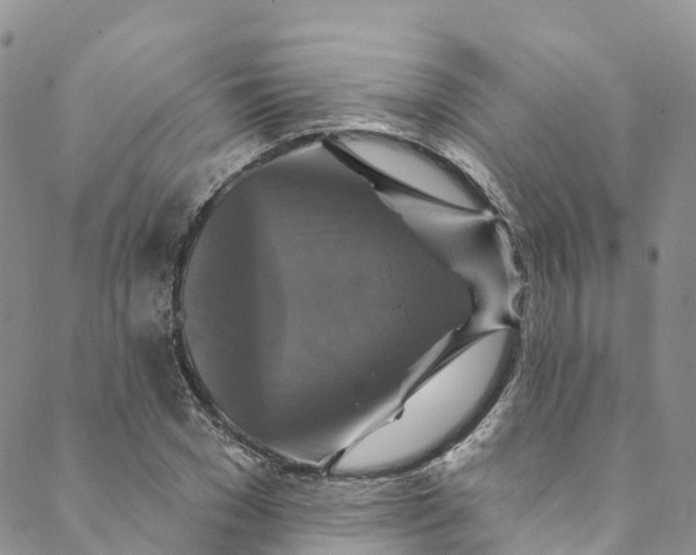 X0000088470977200706121525