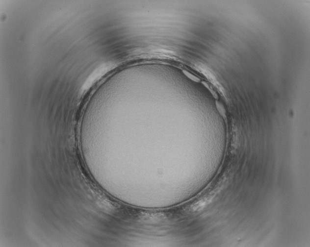 X0000088470978200706121525