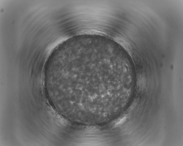 X0000088470979200706121525